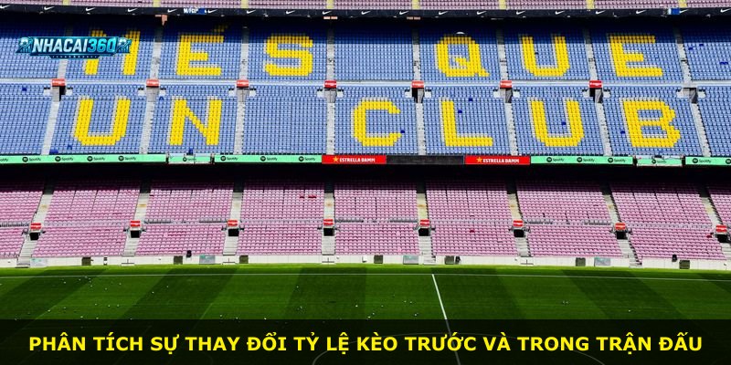 Phân tích sự thay đổi tỷ lệ kèo trước và trong trận đấu