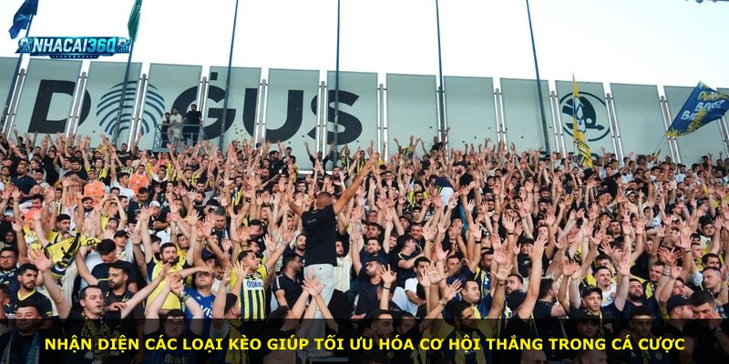 Nhận diện các loại kèo giúp tối ưu hóa cơ hội thắng trong cá cược