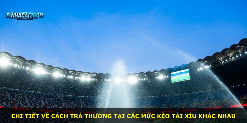 Chi tiết về cách trả thưởng tại các mức kèo tài xỉu khác nhau