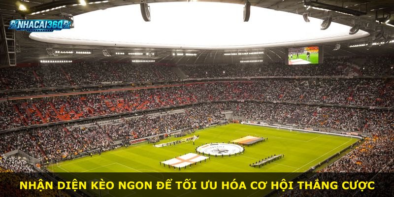 Nhận diện kèo ngon để tối ưu hóa cơ hội thắng cược