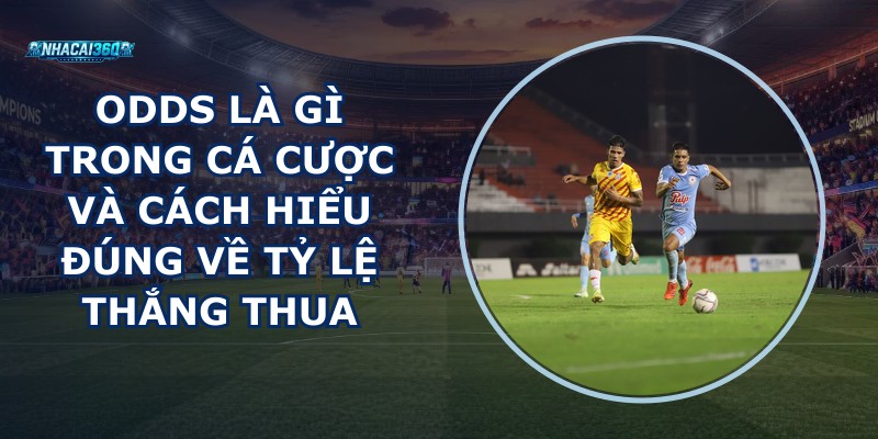 Odds Là Gì Trong Cá Cược