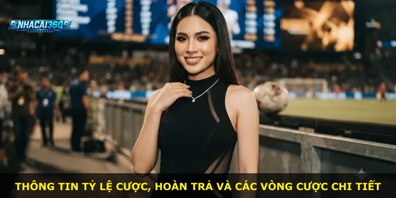 Thông tin tỷ lệ cược, hoàn trả và các vòng cược chi tiết