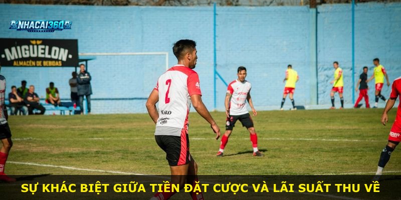 Sự khác biệt giữa tiền đặt cược và lãi suất thu về