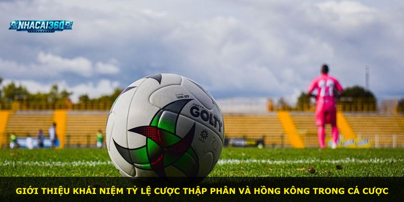Giới thiệu khái niệm tỷ lệ cược thập phân và Hồng Kông trong cá cược