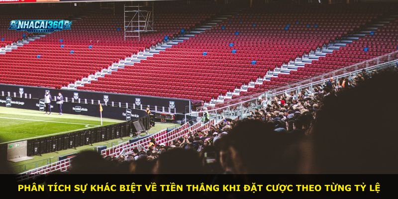 Phân tích sự khác biệt về tiền thắng khi đặt cược theo từng tỷ lệ